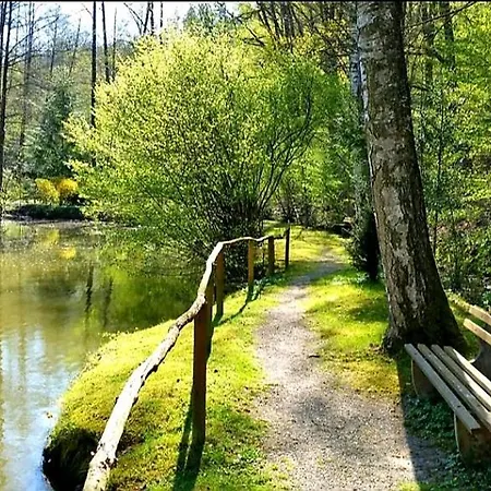 Am Waldsee Mit Schwimmbad * Gernsbach