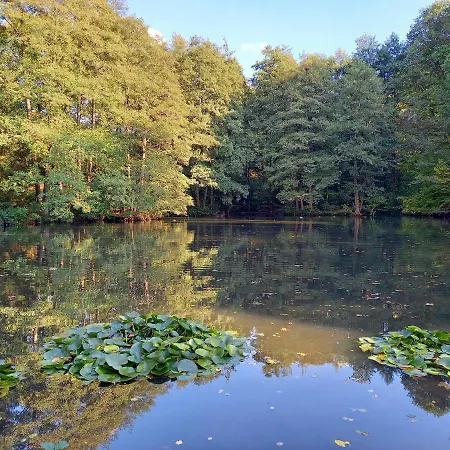 Am Waldsee Mit Schwimmbad *