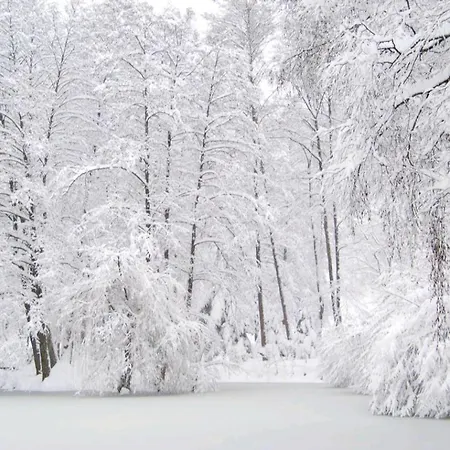 Am Waldsee Mit Schwimmbad شقة