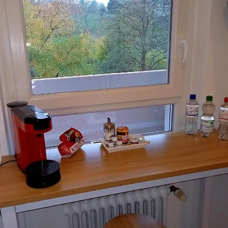 Am Waldsee Mit Schwimmbad غرنباخ