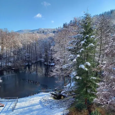 Am Waldsee Mit Schwimmbad